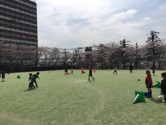 画像を等倍で表示します 画像