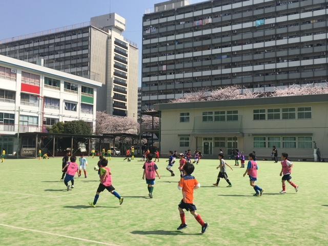 画像を等倍で表示します 画像