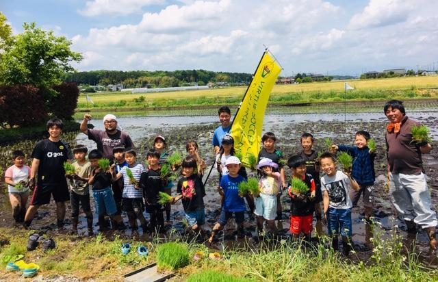 画像を等倍で表示します 画像