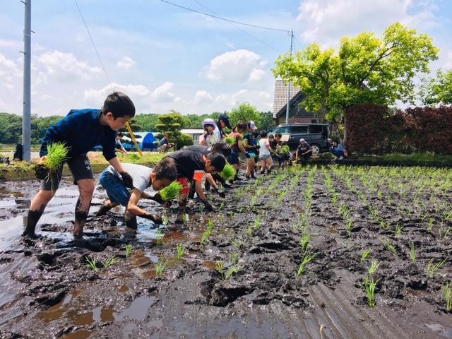 画像を等倍で表示します 画像