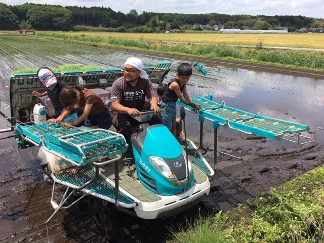 画像を等倍で表示します 画像